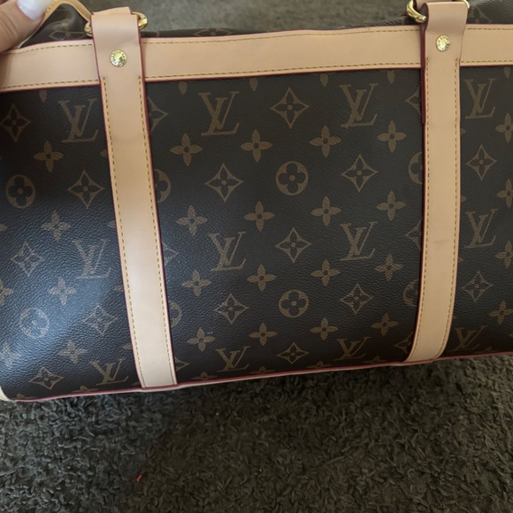 Louis Vuitton dog carrier - Picture 7 of 8